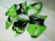 2000-2002 Vert Noir Kawasaki ZX6R Kit Carénages Motos Complet