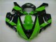 2005-2006 Vert Noir Kawasaki ZX6R Carénage Moto